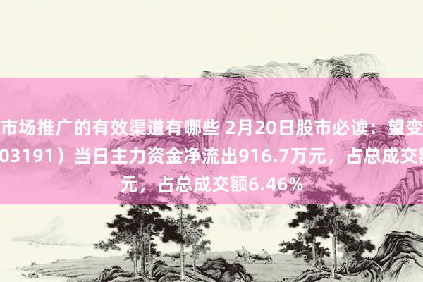 市场推广的有效渠道有哪些 2月20日股市必读：望变电气（603191）当日主力资金净流出916.7万元，占总成交额6.46%