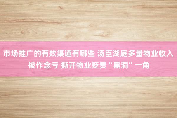 市场推广的有效渠道有哪些 汤臣湖庭多量物业收入被作念亏 撕开物业贬责“黑洞”一角