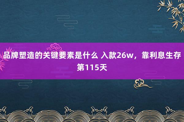 品牌塑造的关键要素是什么 入款26w，靠利息生存第115天