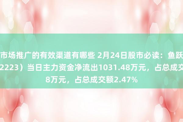 市场推广的有效渠道有哪些 2月24日股市必读：鱼跃医疗（002223）当日主力资金净流出1031.48万元，占总成交额2.47%