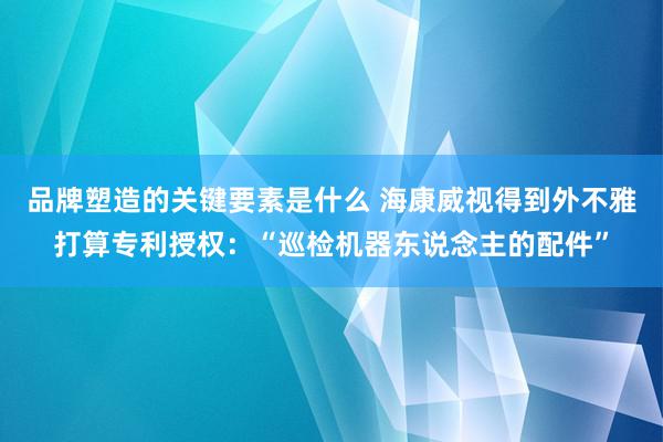 品牌塑造的关键要素是什么 海康威视得到外不雅打算专利授权：“巡检机器东说念主的配件”