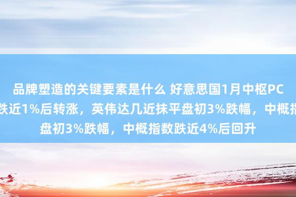 品牌塑造的关键要素是什么 好意思国1月中枢PCE恰当预期，纳指跌近1%后转涨，英伟达几近抹平盘初3%跌幅，中概指数跌近4%后回升