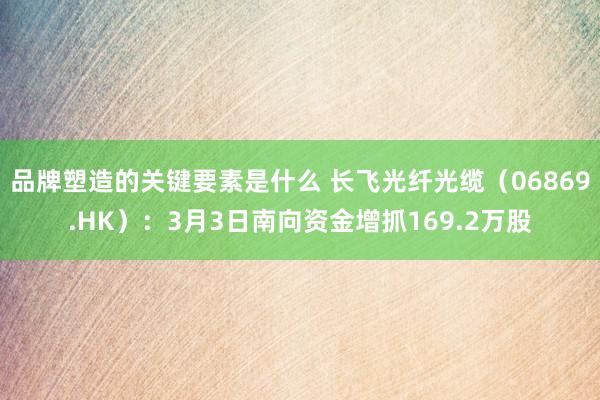 品牌塑造的关键要素是什么 长飞光纤光缆（06869.HK）：3月3日南向资金增抓169.2万股