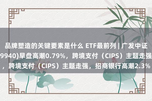 品牌塑造的关键要素是什么 ETF最前列 | 广发中证全指金融地产ETF(159940)早盘高潮0.79%，跨境支付（CIPS）主题走强，招商银行高潮2.3%