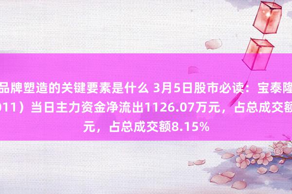 品牌塑造的关键要素是什么 3月5日股市必读：宝泰隆（601011）当日主力资金净流出1126.07万元，占总成交额8.15%