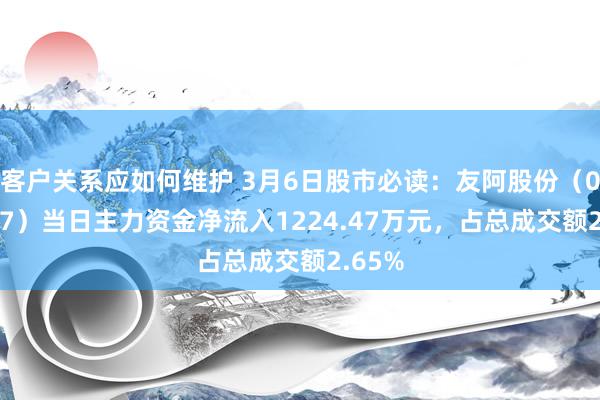 客户关系应如何维护 3月6日股市必读：友阿股份（002277）当日主力资金净流入1224.47万元，占总成交额2.65%