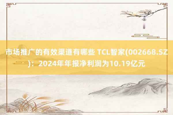 市场推广的有效渠道有哪些 TCL智家(002668.SZ)：2024年年报净利润为10.19亿元