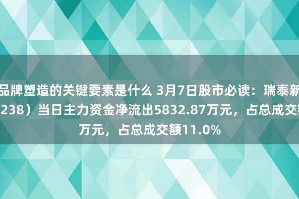 品牌塑造的关键要素是什么 3月7日股市必读：瑞泰新材（301238）当日主力资金净流出5832.87万元，占总成交额11.0%