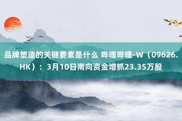 品牌塑造的关键要素是什么 哔哩哔哩-W（09626.HK）：3月10日南向资金增抓23.35万股